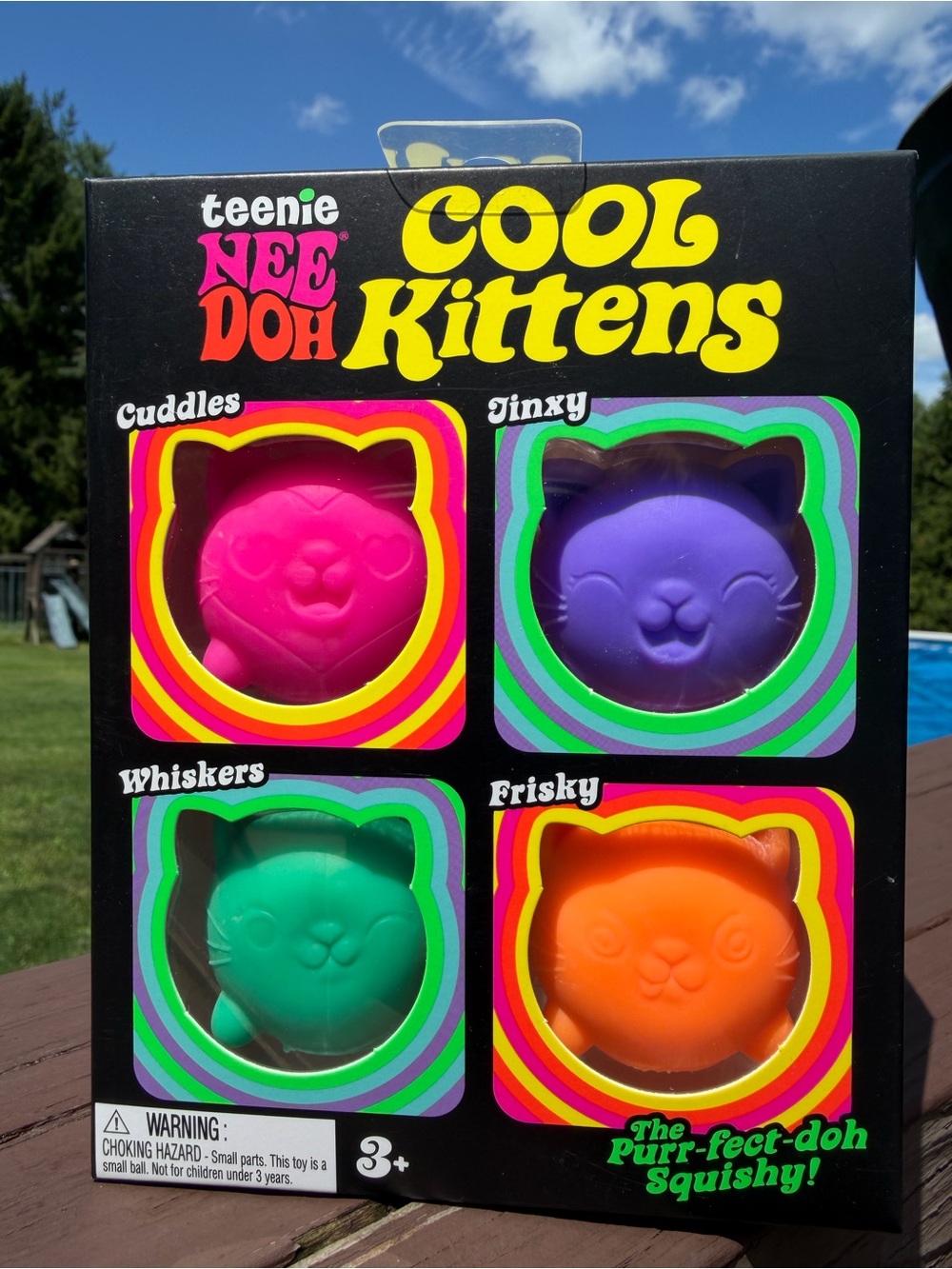 NeeDoh Teenie Cool Kittens